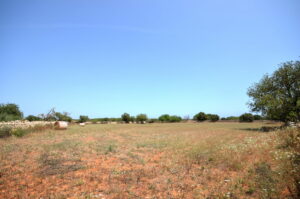 DSC_0004_tonemapped_resize