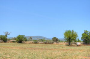 DSC_0007_tonemapped_resize