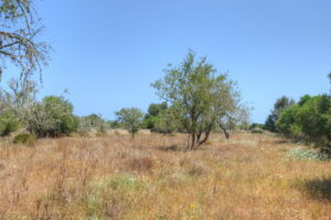 DSC_0013_tonemapped_resize