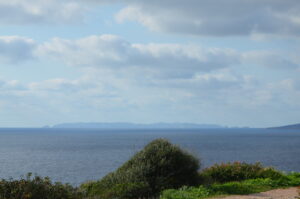 1040_Angela Polowinski (51)