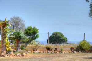 DSC_0122_tonemapped