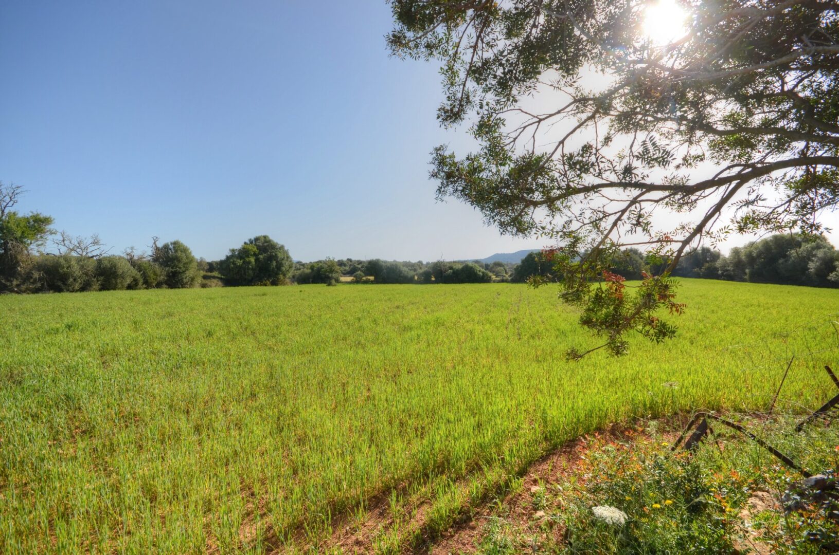 DSC_0006_tonemapped