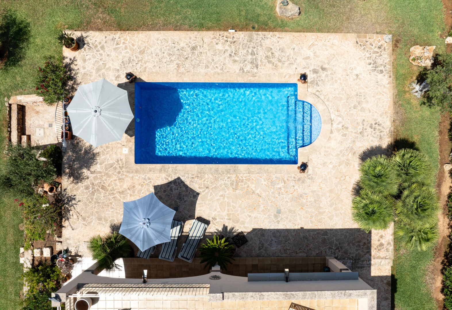 PP004CN dron  R.Web 029